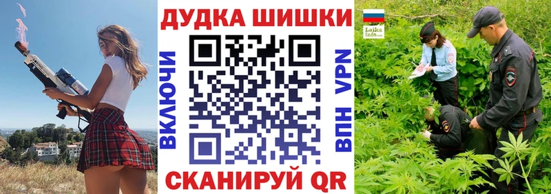LSD-25 Новоалтайск