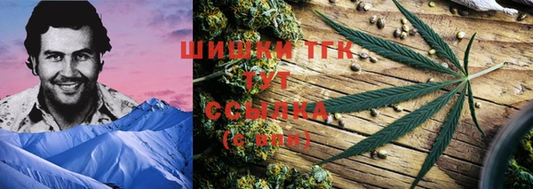 гидра Алексеевка