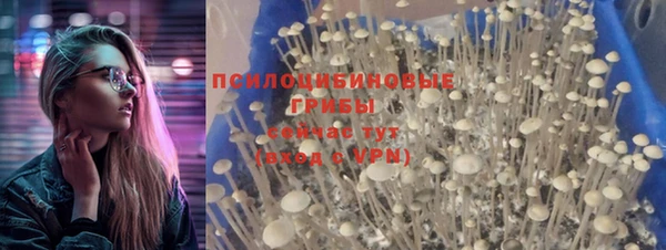 гидра Алексеевка