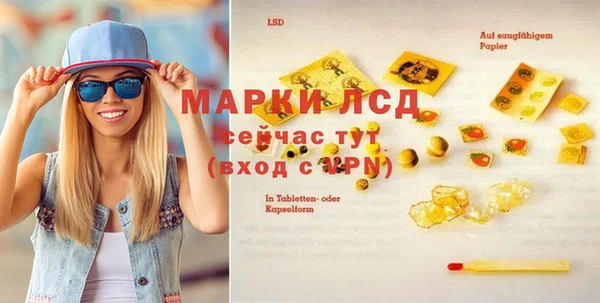гидра Алексеевка