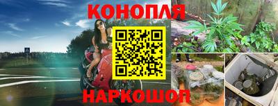прущий лед Изобильный