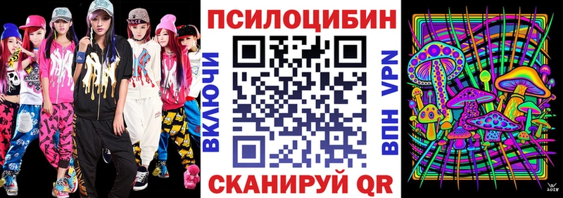 Галлюциногенные грибы ЛСД  закладки  ОМГ ОМГ ССЫЛКА  Новоалтайск 