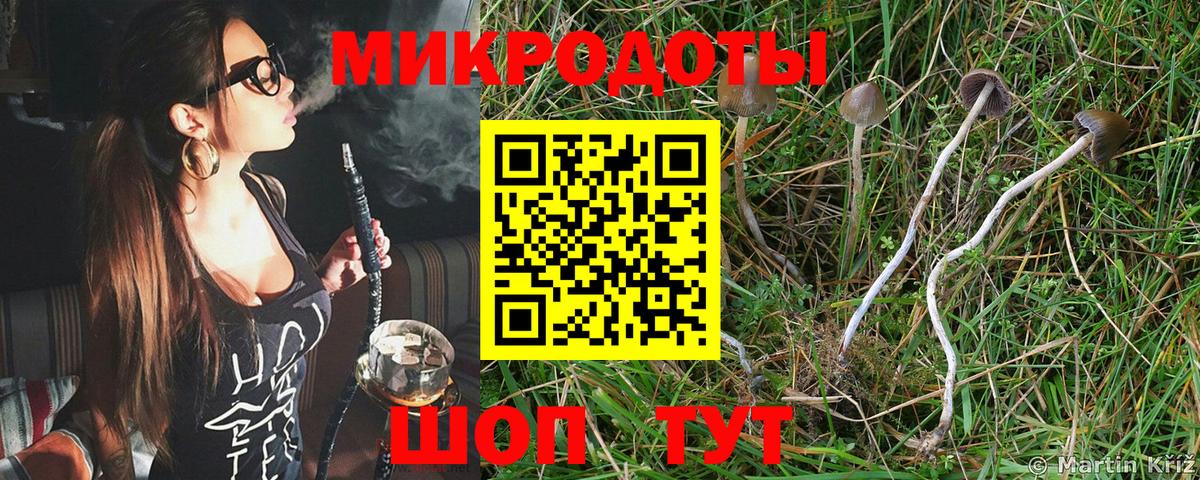 Новоалтайск  Псилоцибиновые грибы мухоморы  Псилоцибиновые грибы прущие грибы  Вход с VPN 